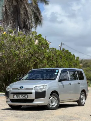 Toyota Probox 1.5 Hybrid DX 2019 Silver