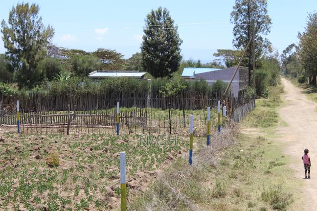 50 X 100 Plot Mutaita Nakuru - thumbnail 5