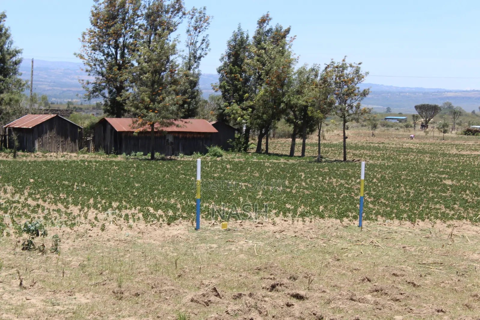 50 X 100 Plot Mutaita Nakuru