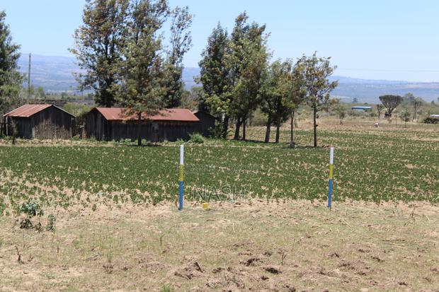 50 X 100 Plot Mutaita Nakuru - thumbnail 9