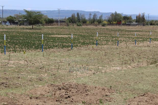 50 X 100 Plot Mutaita Nakuru - thumbnail 12