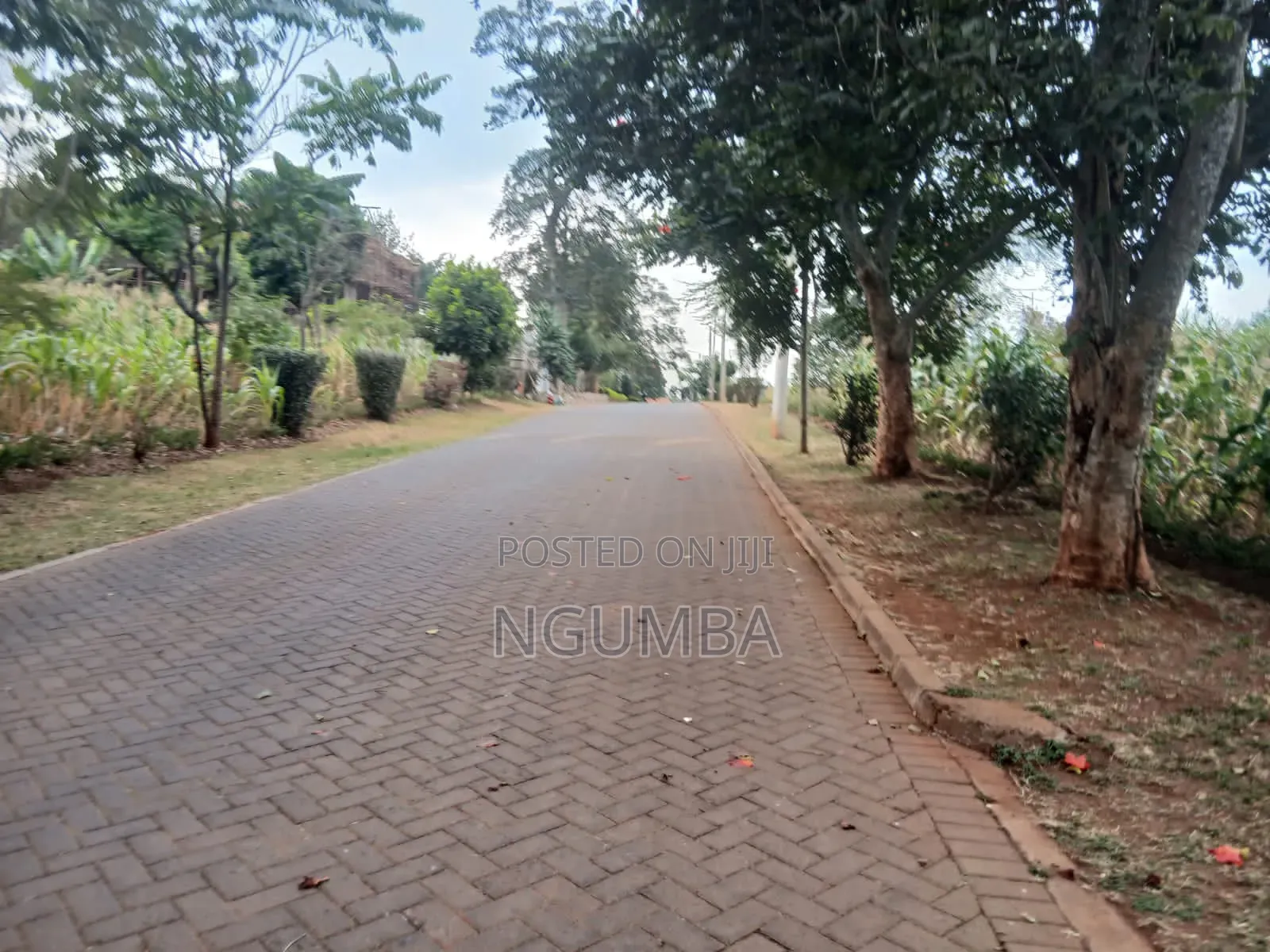 RIVERSIDE Drive 2.5 Acres for Sale