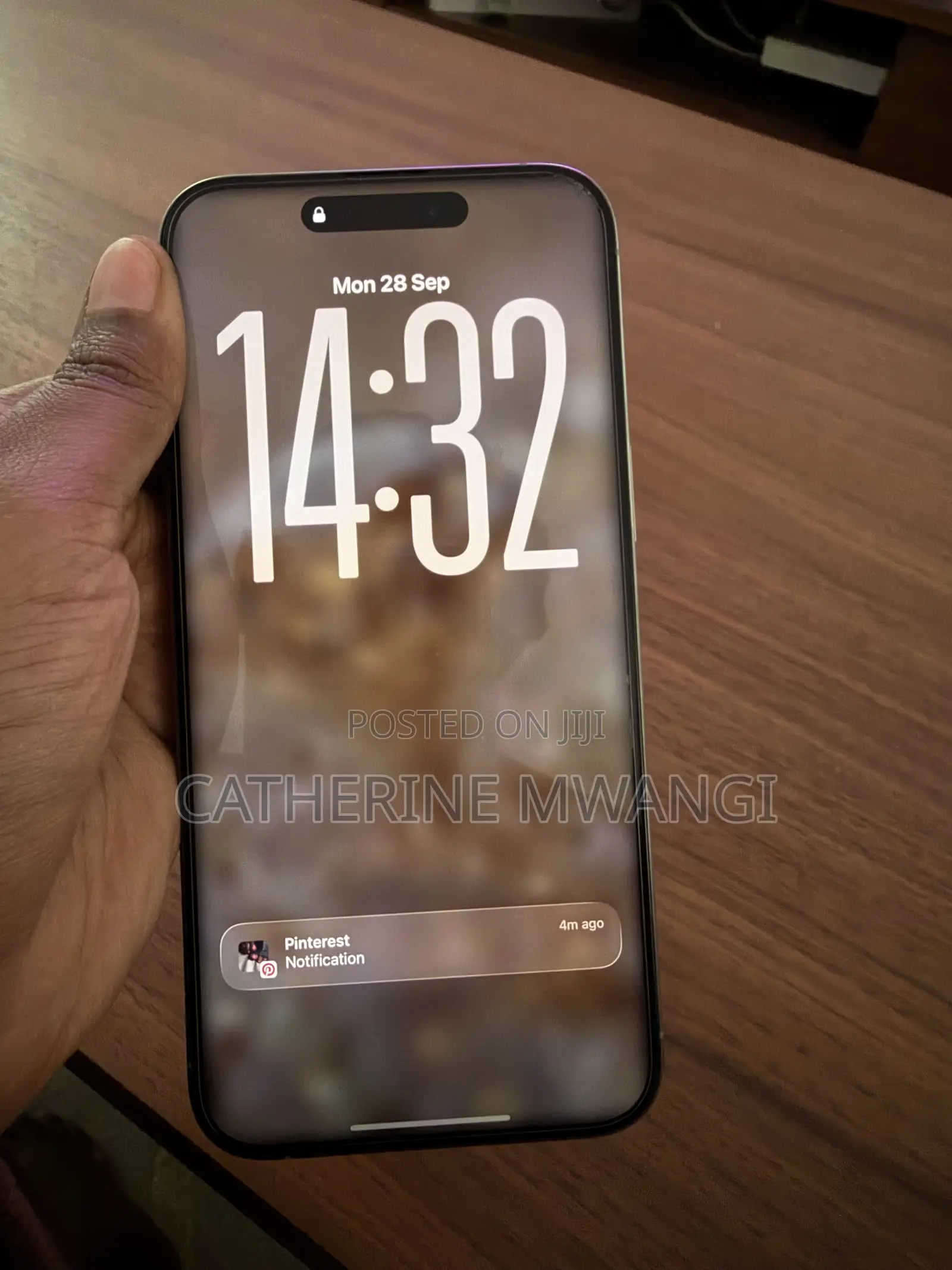 Apple iPhone 15 Pro Max 256 GB Graphite