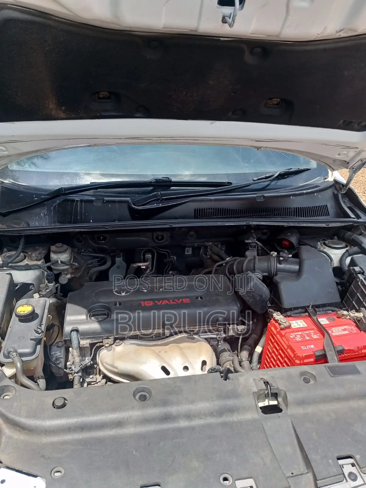 Toyota Vanguard 2009 White