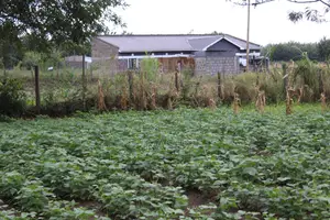 Mang'u Mastoo 50 X 100 Plots for Sale