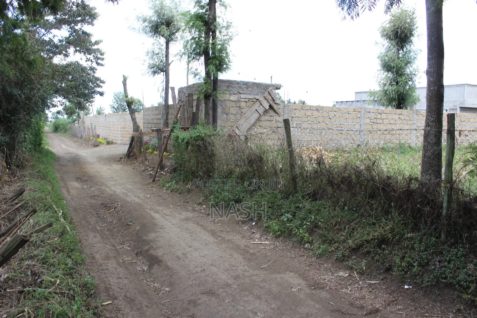 Mang'u Mastoo 50 X 100 Plots for Sale