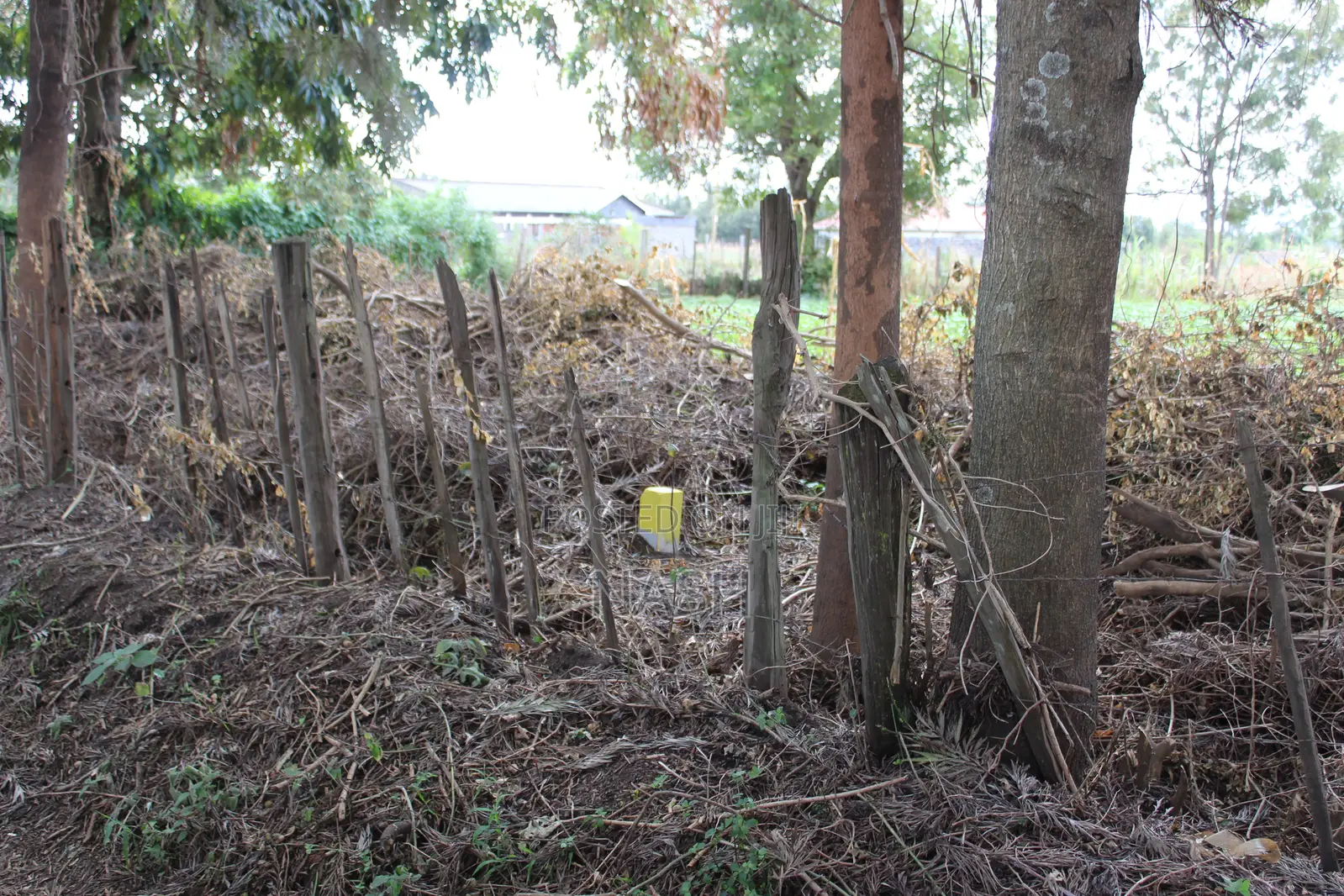 Mang'u Mastoo 50 X 100 Plots for Sale