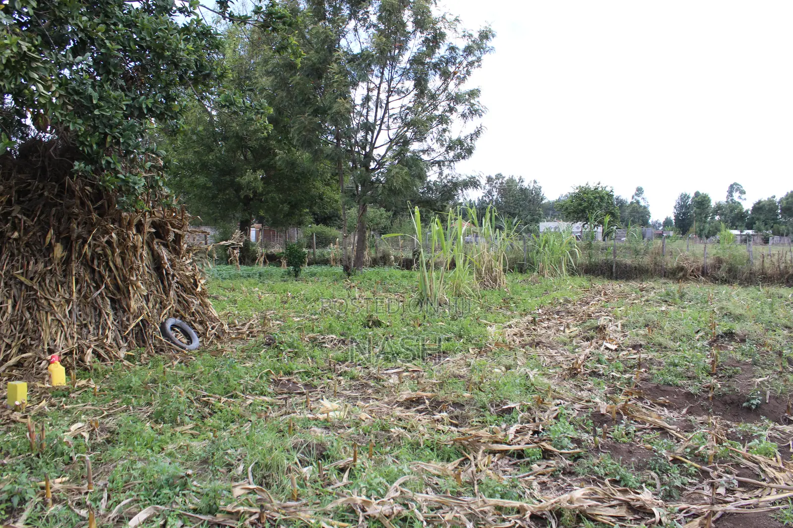 Mang'u Mastoo 50 X 100 Plots for Sale