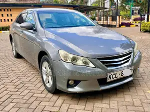 Toyota Mark X 2.5 RWD 2010 Gray