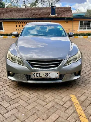 Toyota Mark X 2010 Gray
