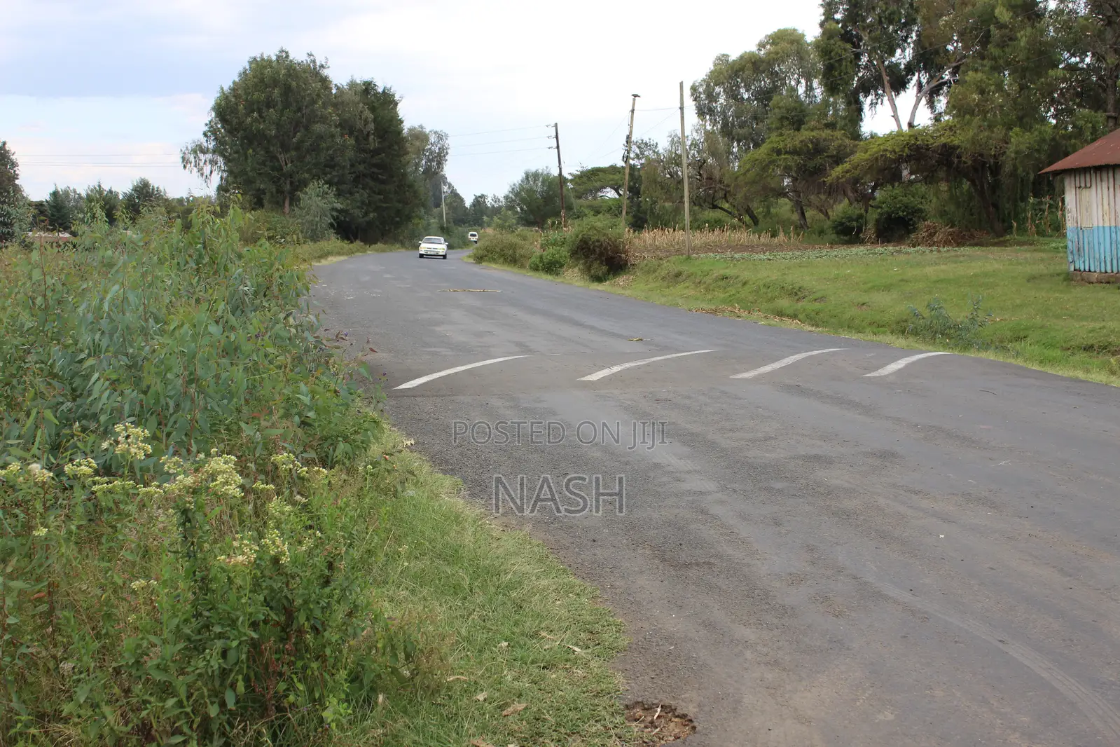 Mang'u Mastoo 50 X 100 Plots for Sale