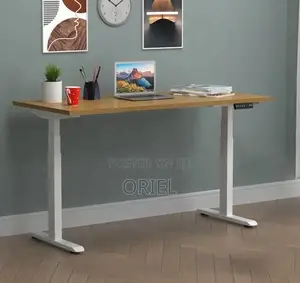 Electric Height Adjustable Standing Desk