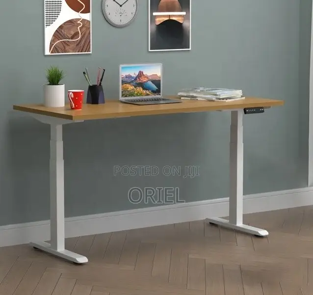Electric Height Adjustable Standing Desk