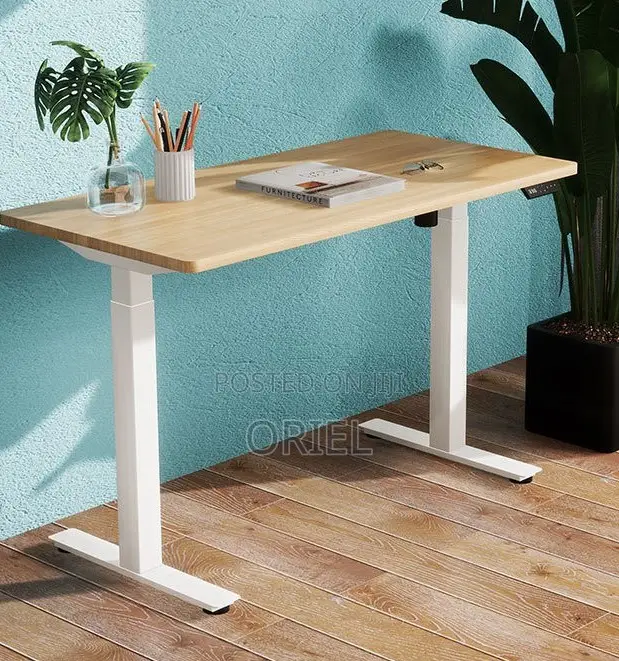 Electric Height Adjustable Standing Desk