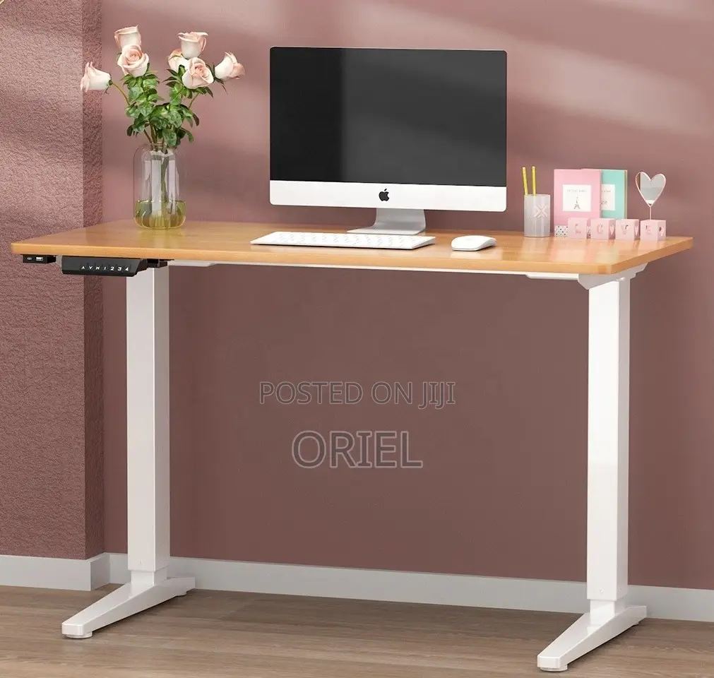 Electric Height Adjustable Standing Desk