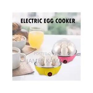 Electric Egg Boiler Cooker Mini Steamer Poacher.