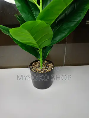 Artificial Lyrata Plant