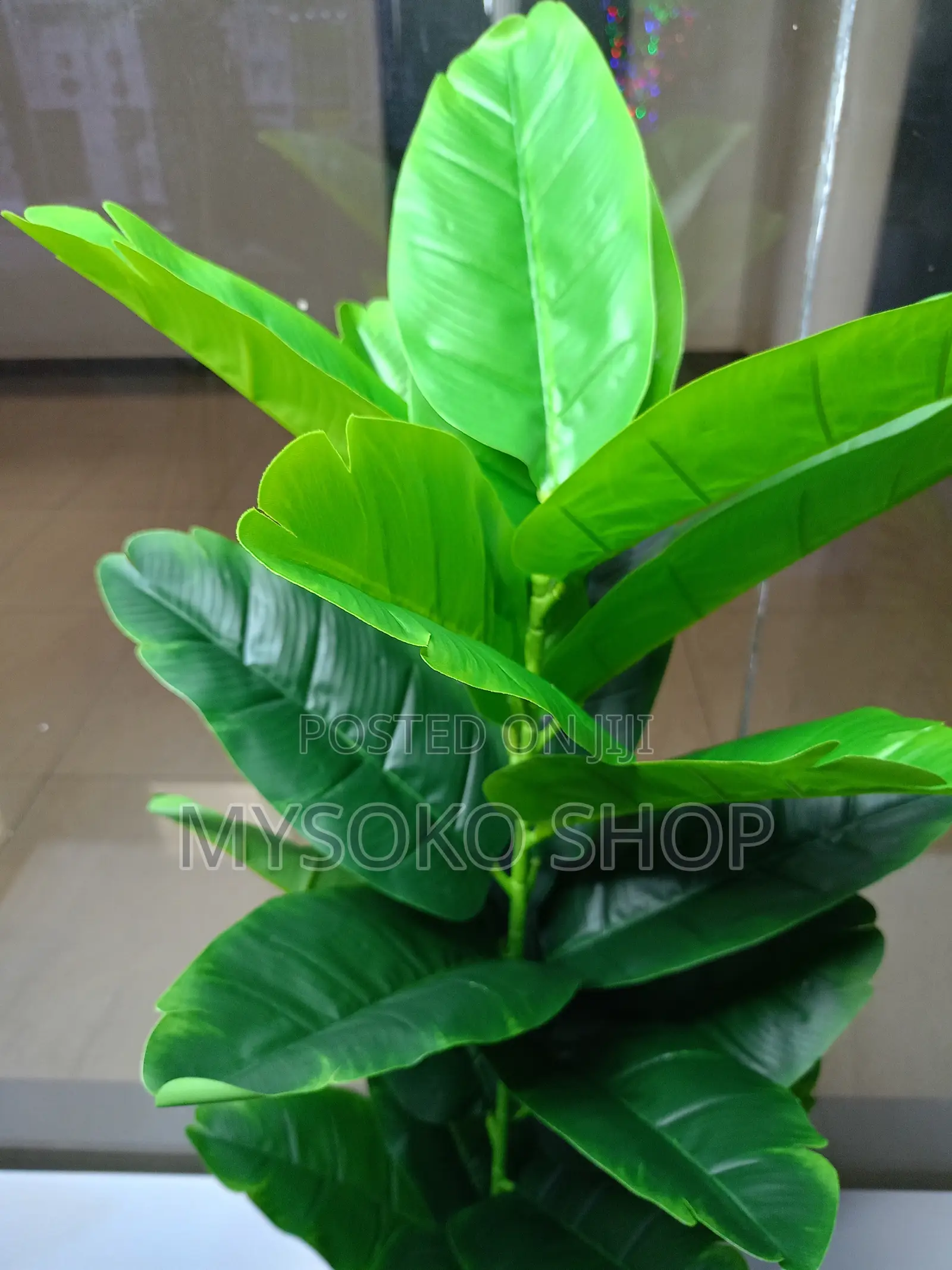 Artificial Lyrata Plant