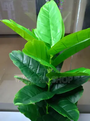 Artificial Lyrata Plant