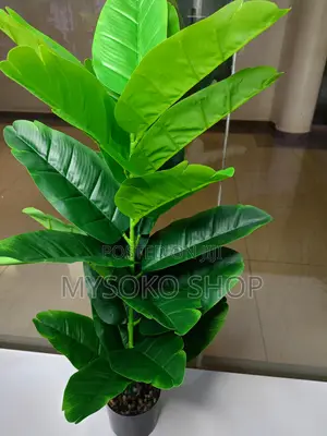 Artificial Lyrata Plant