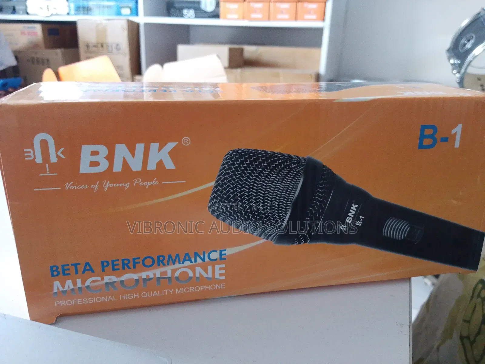BNK Professional Wired Mic B1
