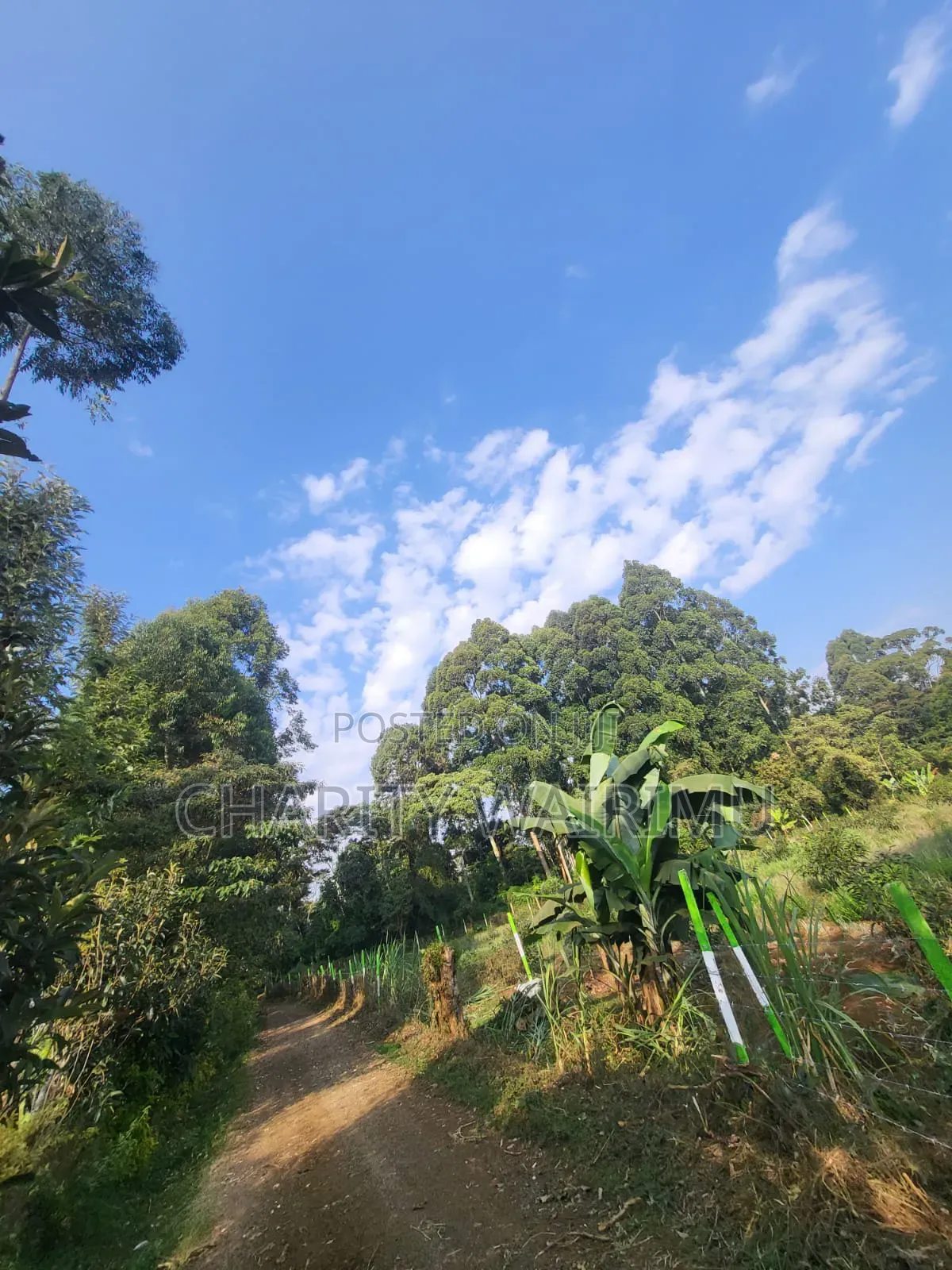 Karatina Plots for Sale