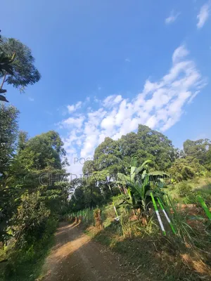 Karatina Plots for Sale
