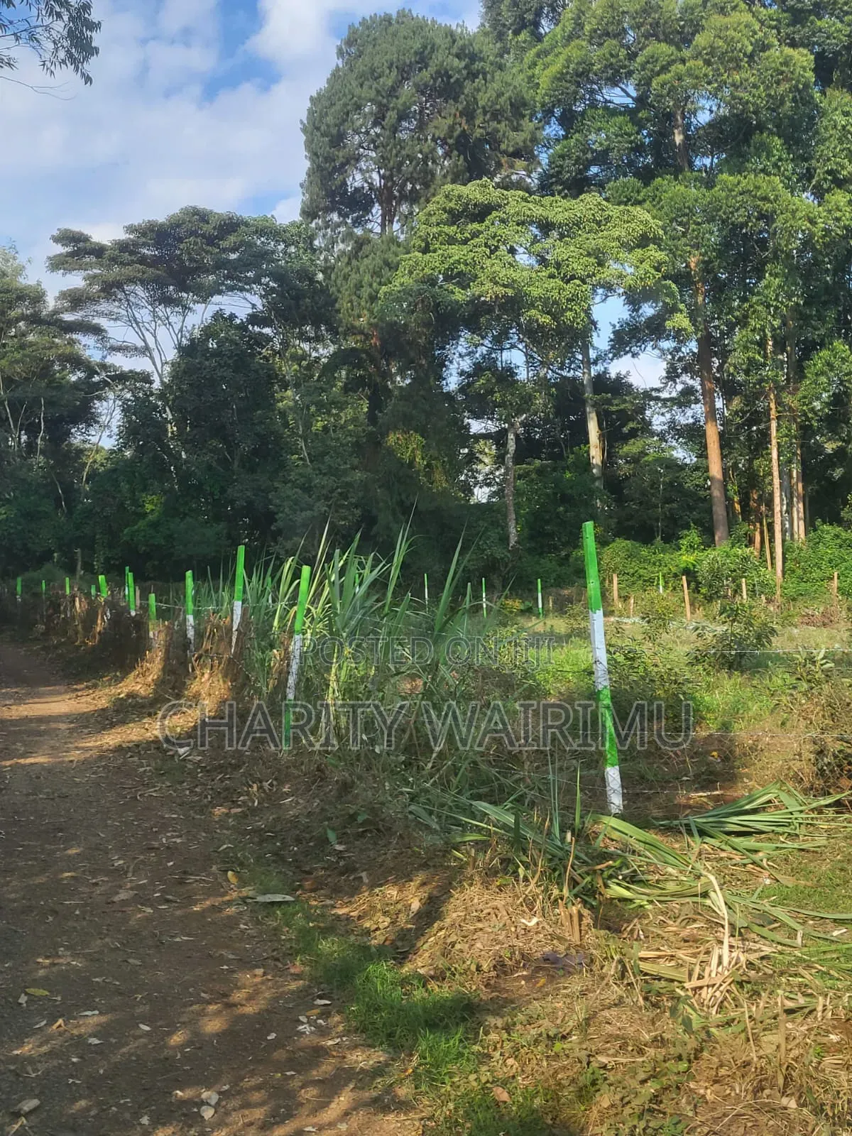 Karatina Plots for Sale