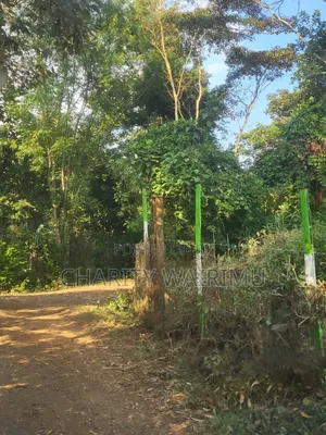 Karatina Plots for Sale