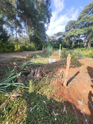 Karatina Plots for Sale