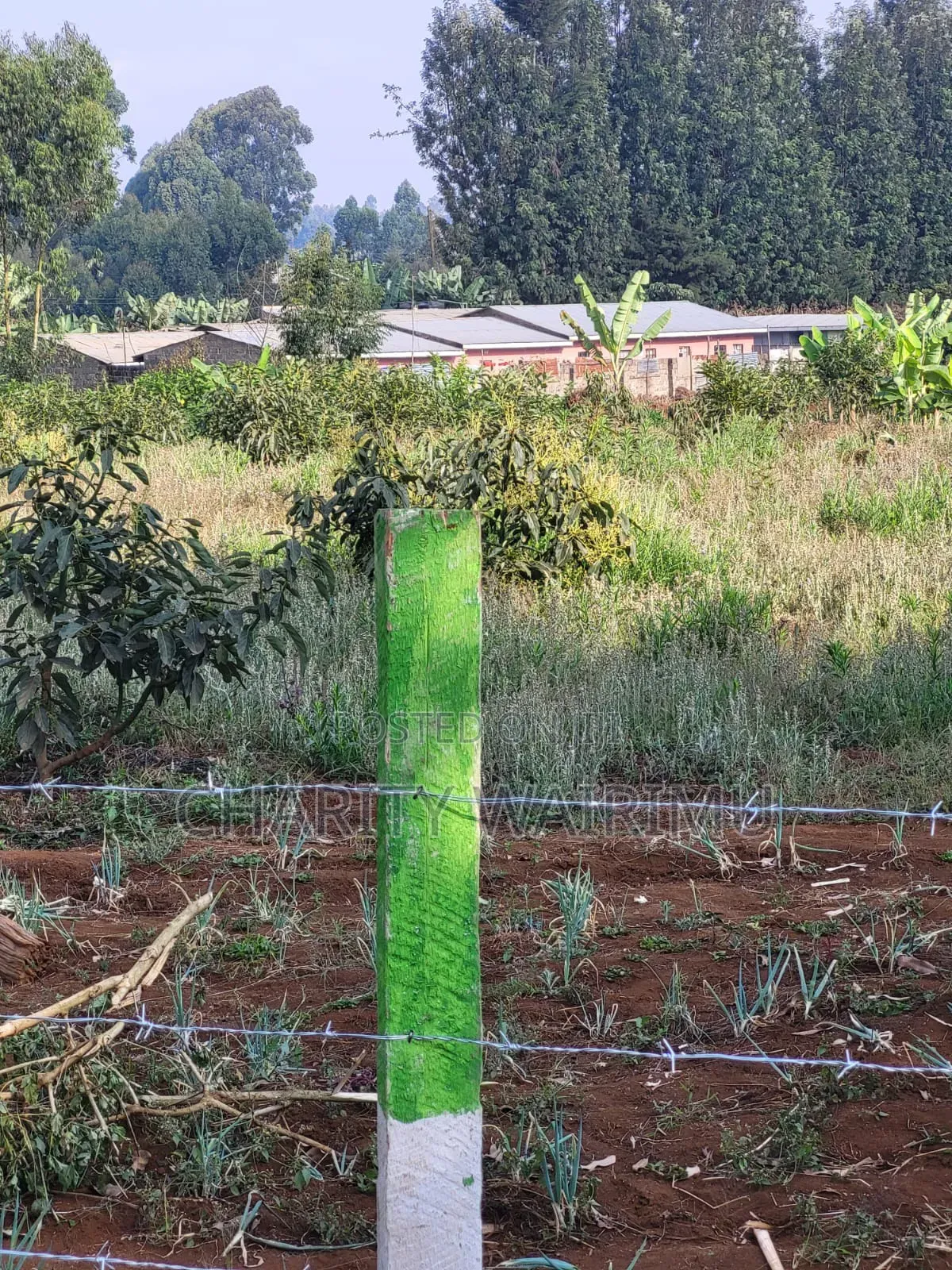 Karatina Plots for Sale