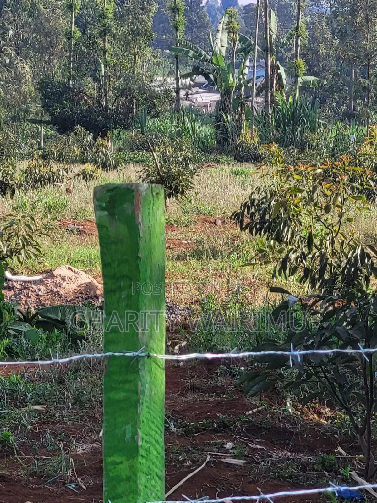 Karatina Plots for Sale