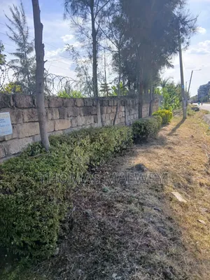 Half Acre Piece of Land