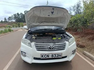 Toyota Vanguard 2010 White