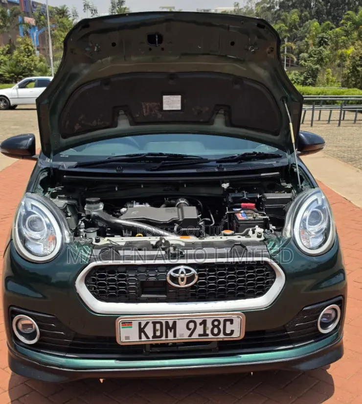 Toyota Passo 2017 Green