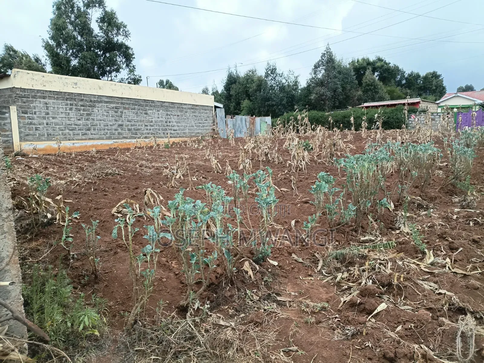 Plot for Sale