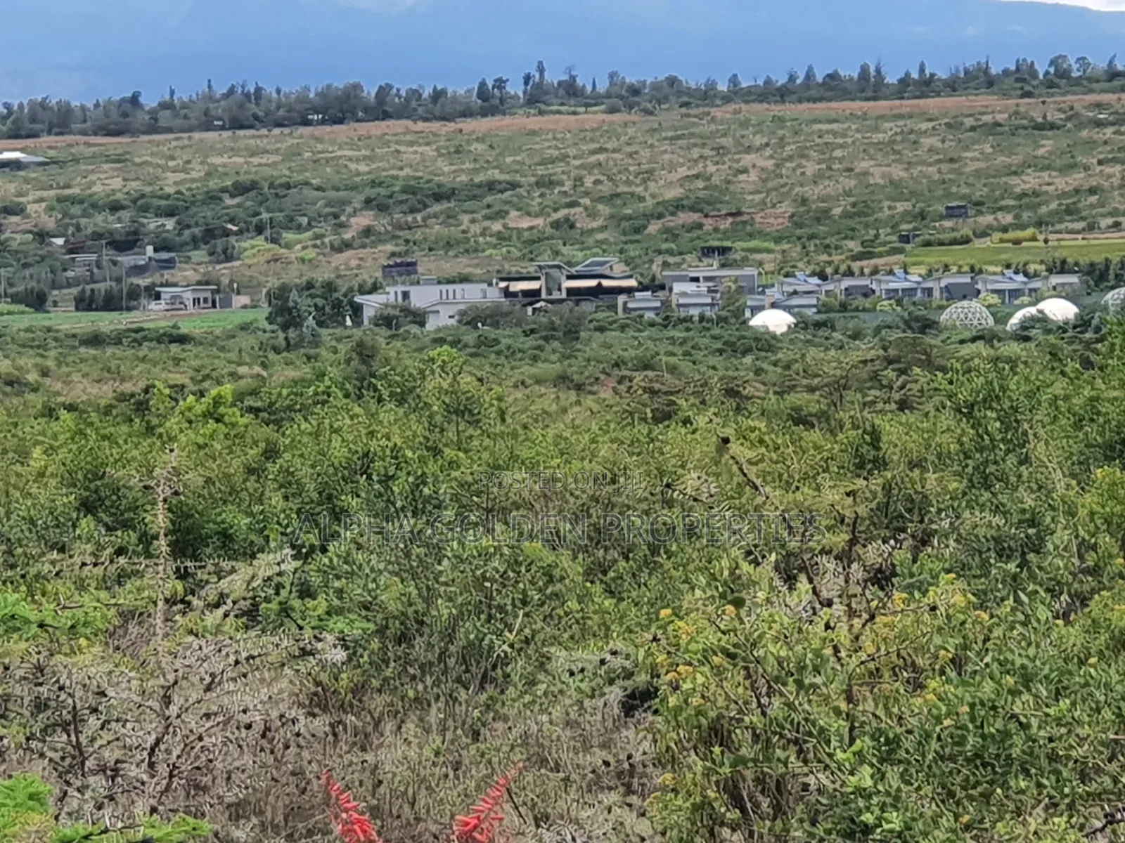 Daiga 2.5 Acres on Sale [ Tufaha ] Area