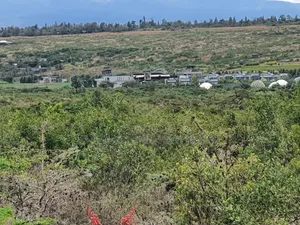 Daiga 2.5 Acres on Sale [ Tufaha ] Area