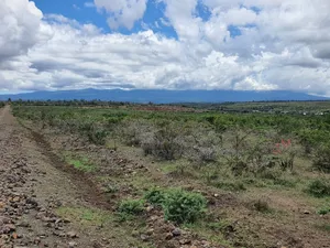 Daiga 2.5 Acres on Sale [ Tufaha ] Area