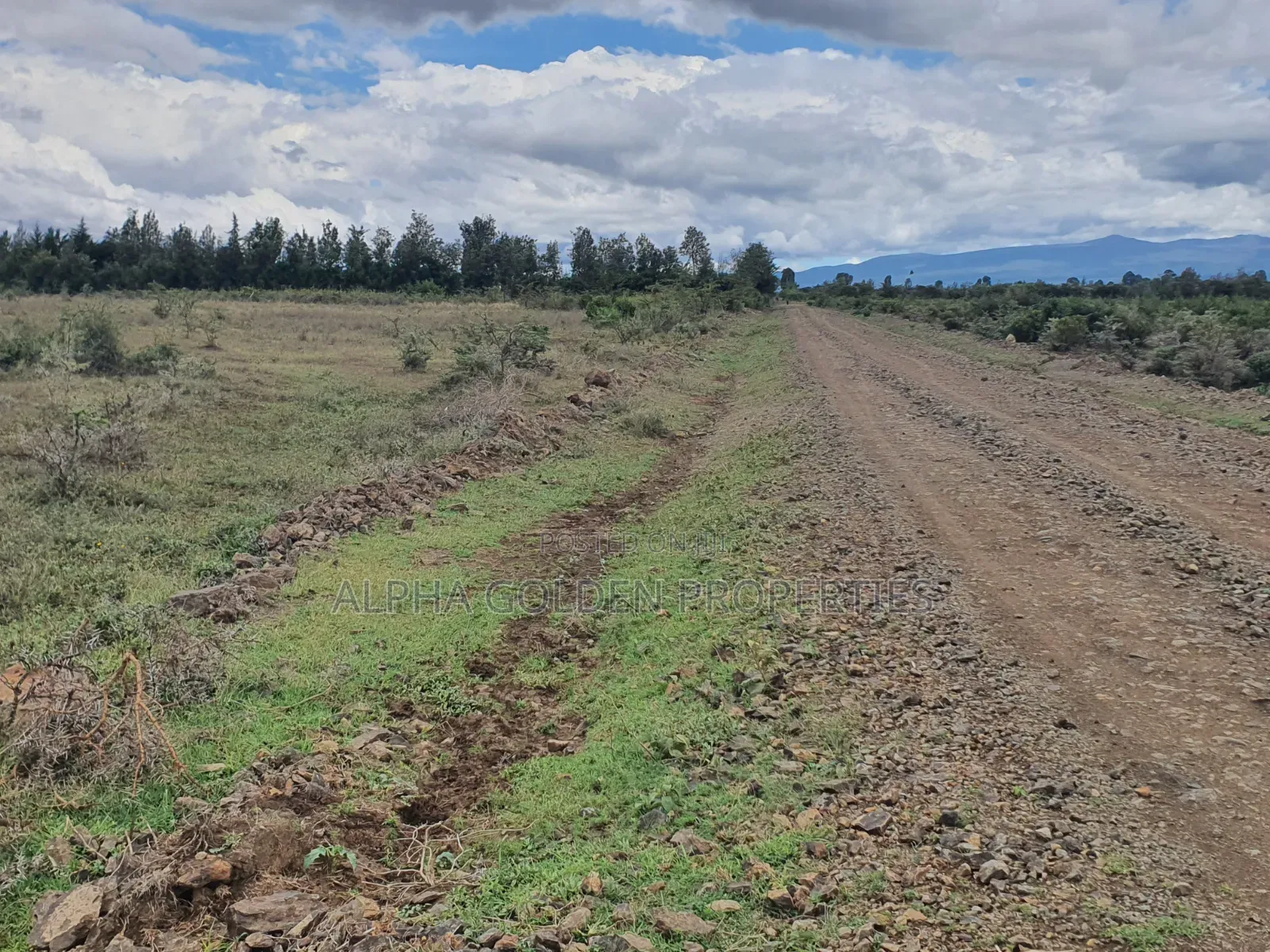 Daiga 2.5 Acres on Sale [ Tufaha ] Area