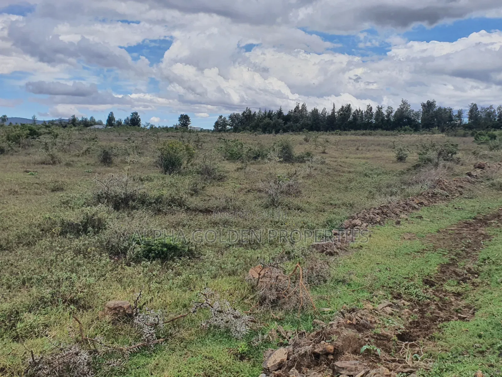 Daiga 2.5 Acres on Sale [ Tufaha ] Area