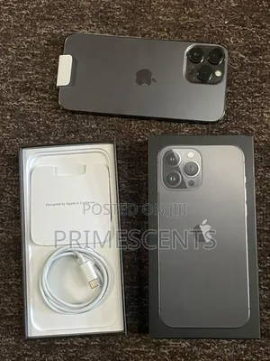 Apple iPhone 13 Pro Max 256 GB Gray