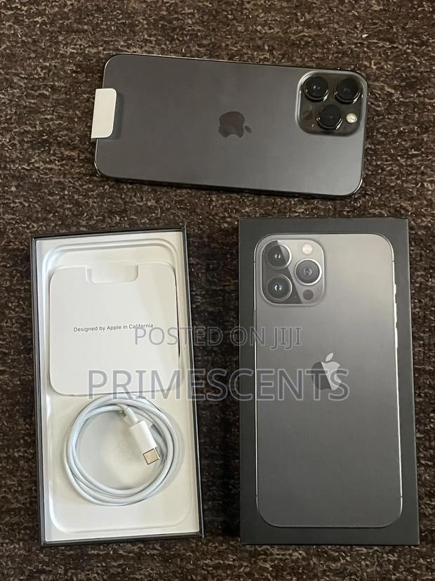 Apple iPhone 13 Pro Max 256 GB Gray - main view