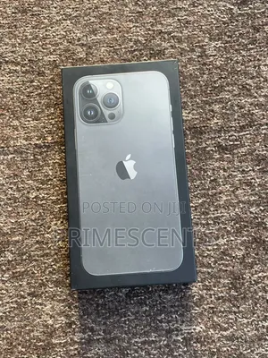 Apple iPhone 13 Pro Max 256 GB Gray