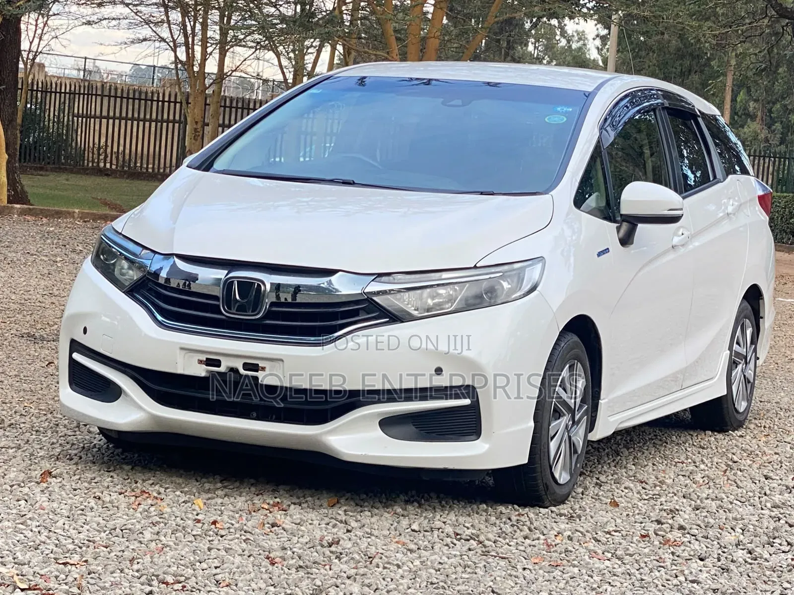 Honda Fit Shuttle 2019 White