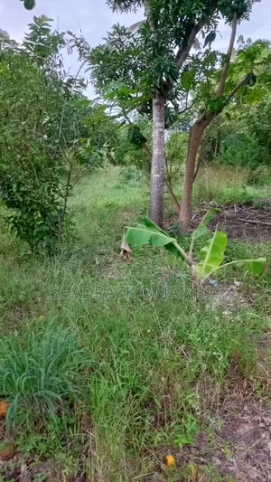 Shamba for Farming