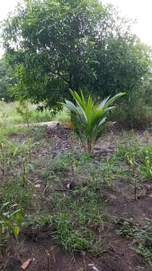 Shamba for Farming
