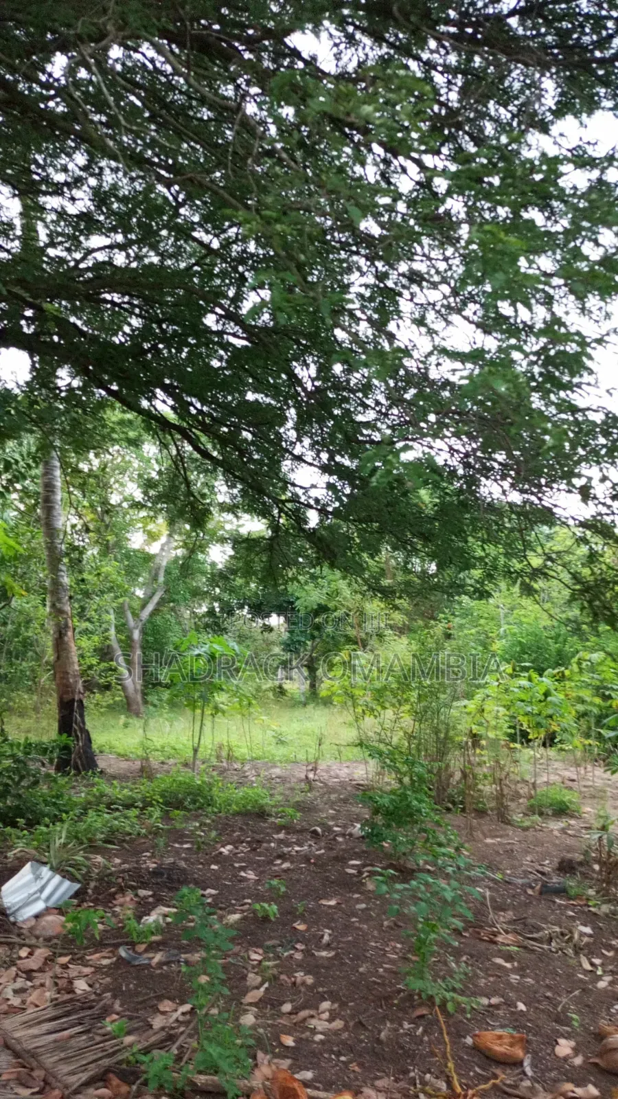 Shamba for Farming