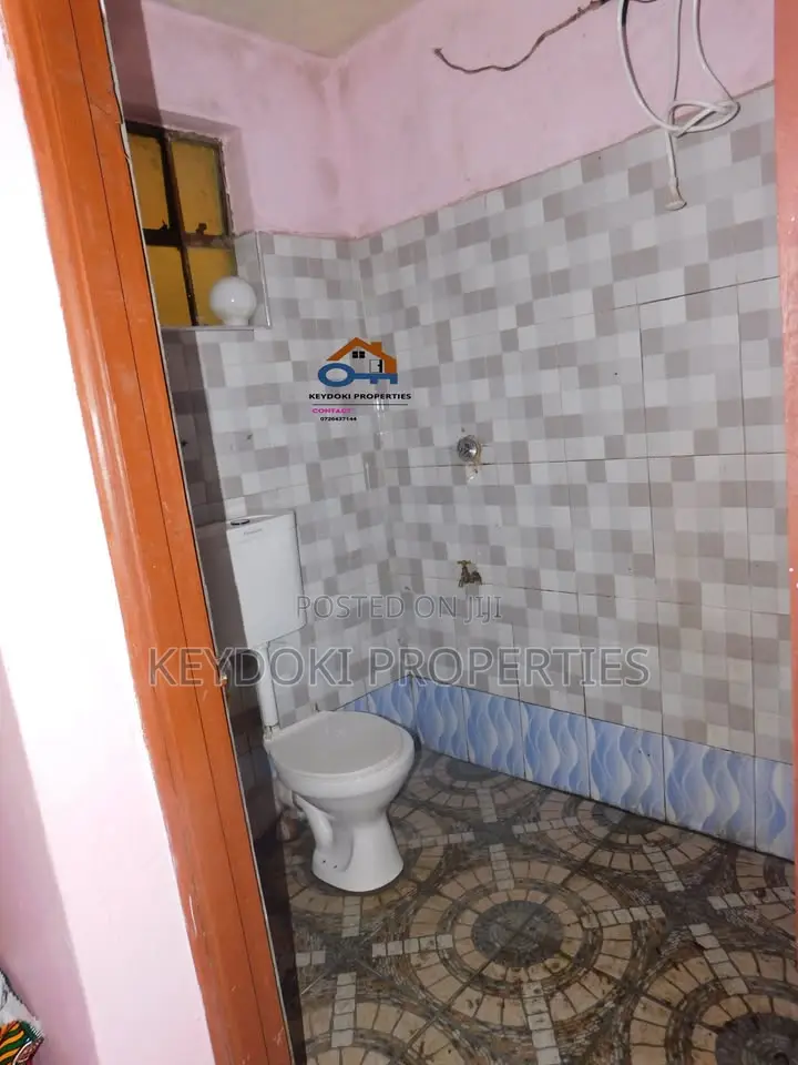 1bdrm Bedsitter in Maji Mazuri, Sunton Estate for rent