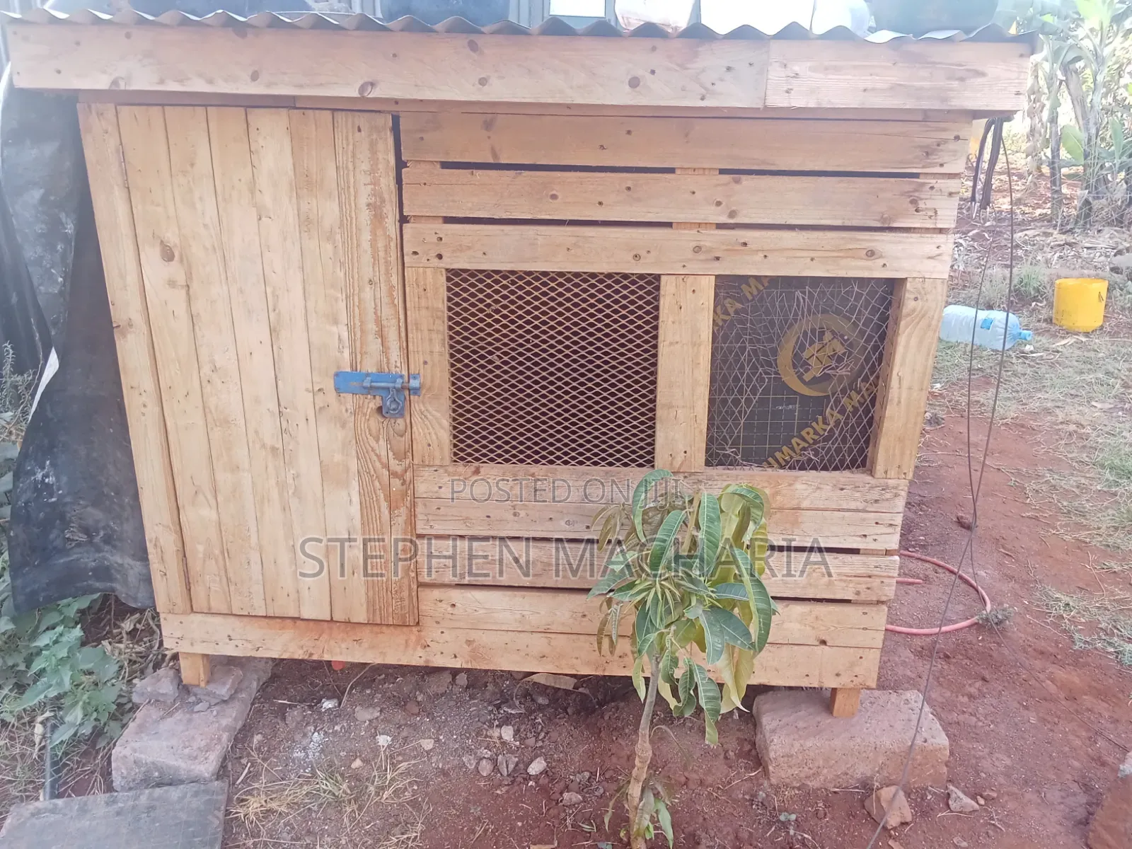 Dog Kennel